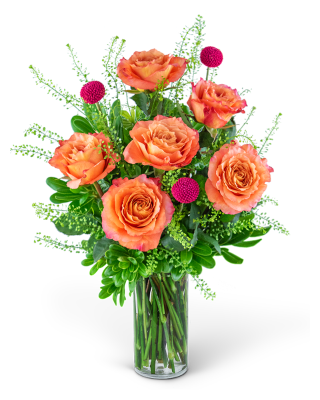 Half Dozen Wild and Free Spirit Roses