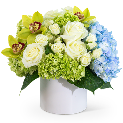Luxe Home Garden with Orchids – photo 2