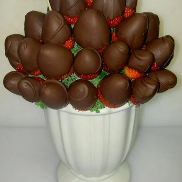 Berries in Chocolate