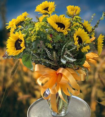 HELLO SUNSHINE!