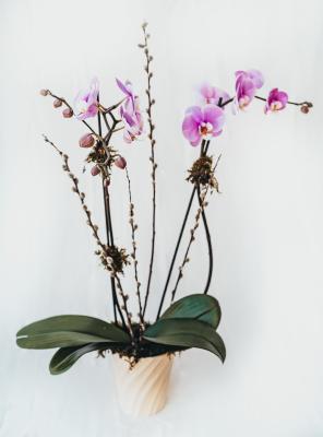 It's Our Expertise! | Expressions Floral in Gilroy, California