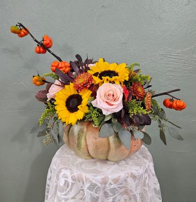 Pumpkin Ever After - WFS0763 in  , undefined undefined